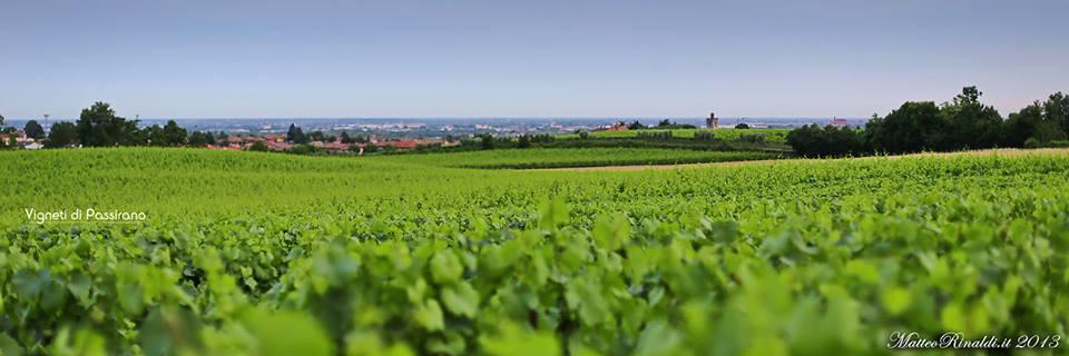 Wine & Lake In Franciacorta Passirano Екстер'єр фото