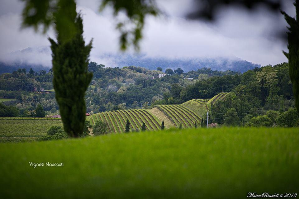 Wine & Lake In Franciacorta Passirano Екстер'єр фото