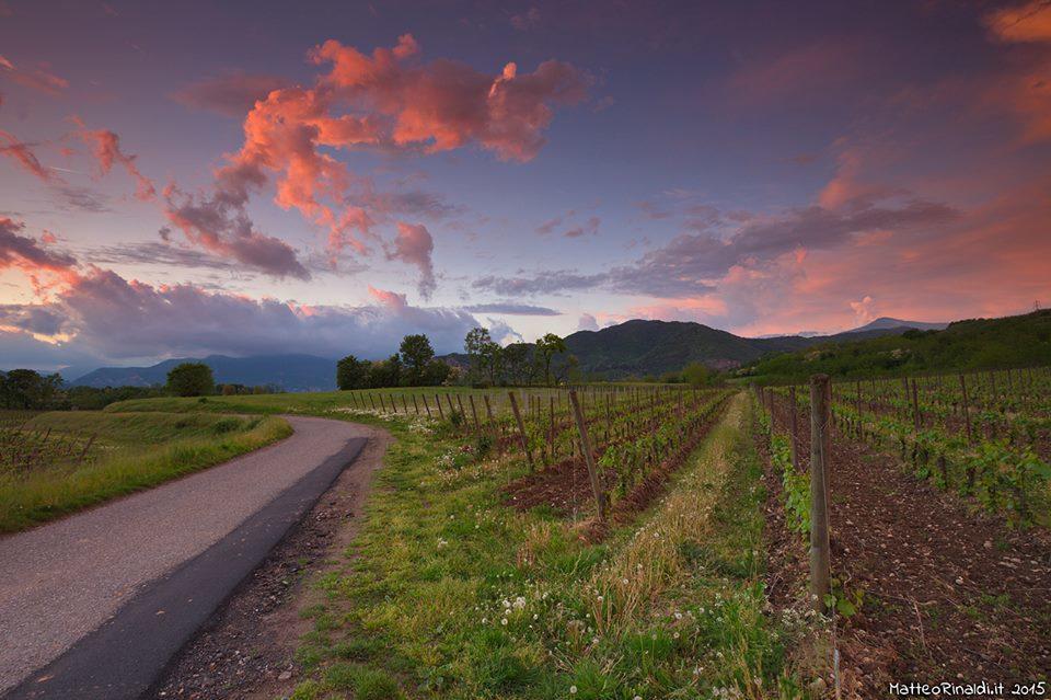 Wine & Lake In Franciacorta Passirano Екстер'єр фото