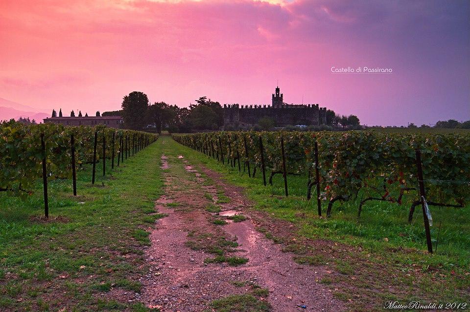 Wine & Lake In Franciacorta Passirano Екстер'єр фото