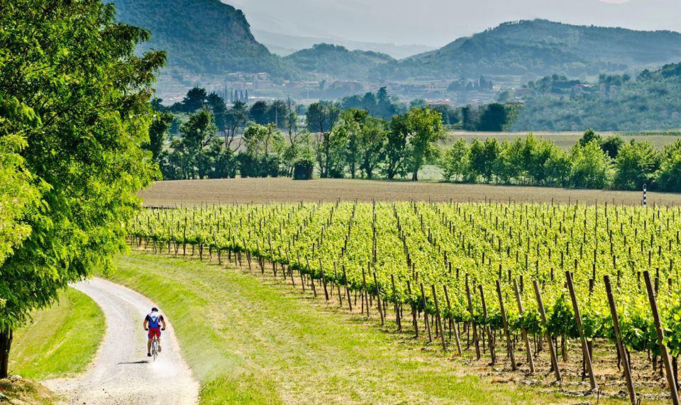 Wine & Lake In Franciacorta Passirano Екстер'єр фото